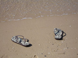 On the beach