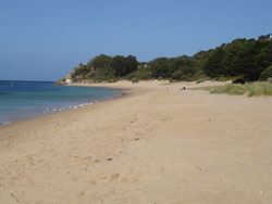 Bay side of peninsula